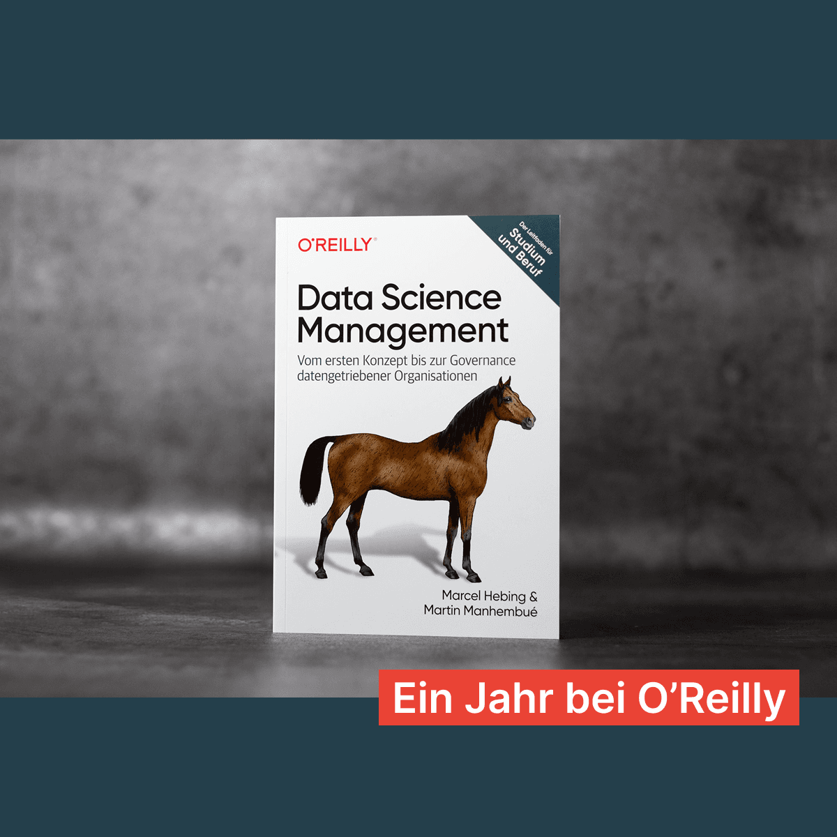 Ein Jahr Data Science Management